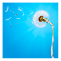 GALAXY S4 READY II logo