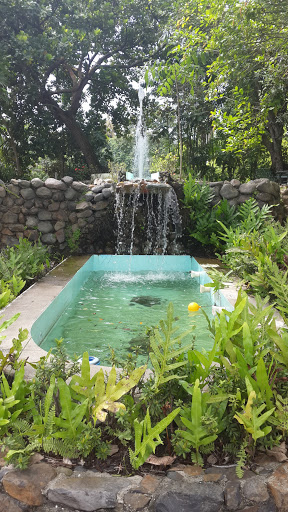 Tupper Building Fountain