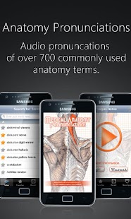 Anatomy Pronunciations