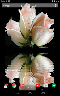 How to download Roses Animated Live Wallpaper 1.1.1 unlimited apk for laptop