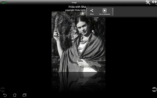 【免費教育App】Frida Kahlo - The Official App-APP點子