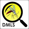 DMLS