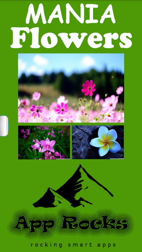 Flower Mania photo share pro