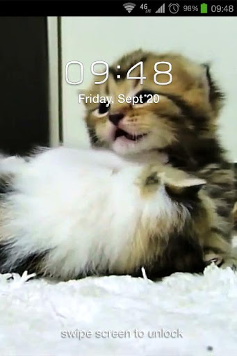 免費下載個人化APP|Kittens Live Wallpaper app開箱文|APP開箱王