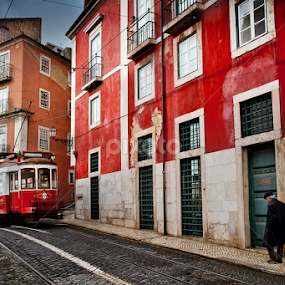 Carreira N° 28 by Roberto Nencini - Transportation Railway Tracks