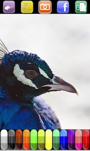 Free Download picAdraw - Paint on Photos APK for Android