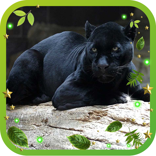 Panthera Free live wallpaper LOGO-APP點子