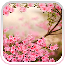 Spring Flowers Live Wallpaper mobile app icon