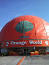 Orange World
