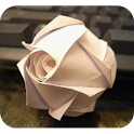 How to Fold Rose logo