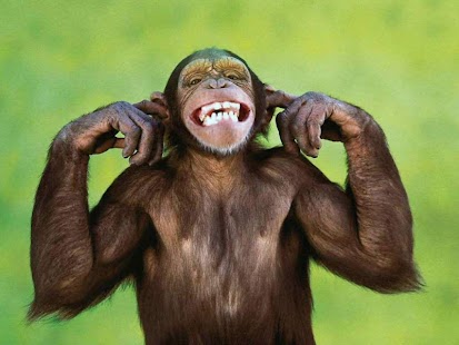 How to get Dichos Adivinanzas Trabalengua lastet apk for bluestacks