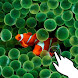 Magic touch:Clownfish & corals