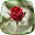 Roses Live Wallpaper Download on Windows