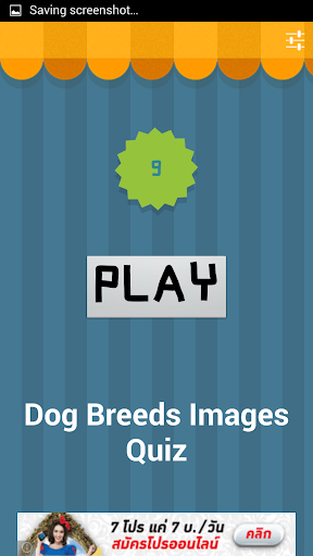 Dog Breeds Image Quiz