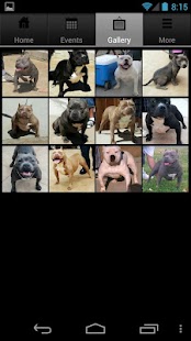 Bully Shows Screenshots 2