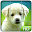 Tile Puzzle: Cute Puppies Download on Windows
