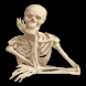 Human Anatomy icon