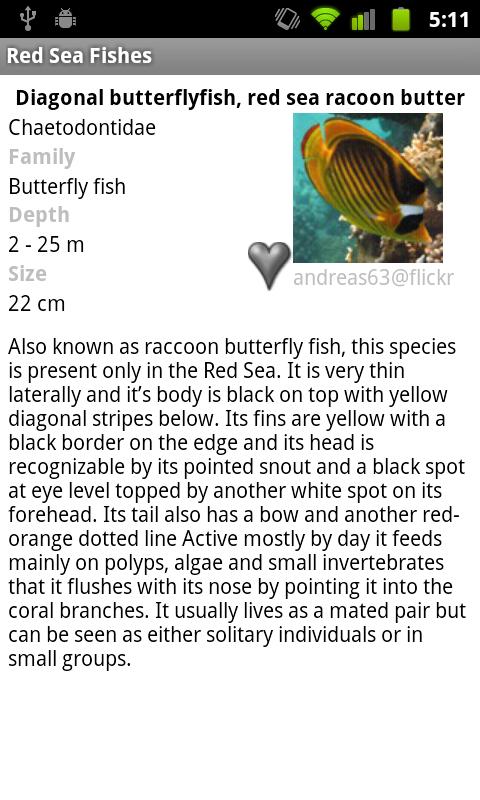 Red Sea Fishes Screen 3