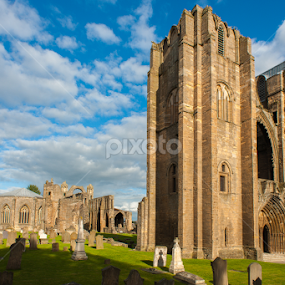 Ruins old cathedral  by Miroslav Havelka - Buildings & Architecture Public & Historical