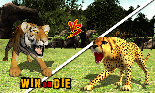 African Cheetah Survival Sim