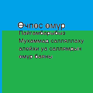 КЫРГЫЗ-ӨМҮР БАЯН logo