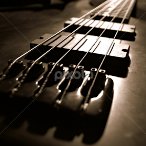 Bass by Michelle Farmer - Artistic Objects Musical Instruments