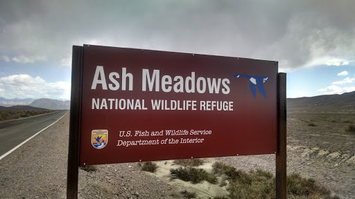 Ash Meadows National Wildlife Preserve