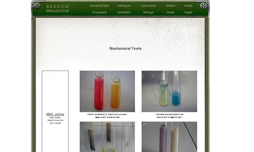 Prokaryotes