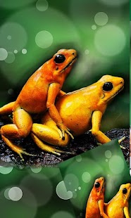 How to download Love Frogs 1.0 unlimited apk for android
