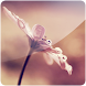 3D Plants (PRO)