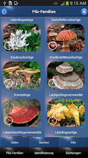 How to download Pilz Id, Die Pilze Sammeln App v10 apk for android