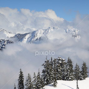 Sunny Winter Afternoon by Gabi Fulcher - Landscapes Mountains & Hills