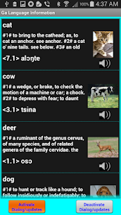Speak and Write Ga Language Screenshots 7