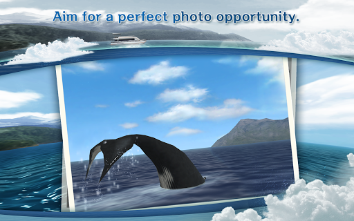 【免費休閒App】REAL WHALES Find the cetacean!-APP點子