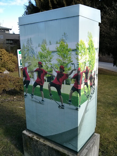 Skateboard Trick Wrap Public Art Box