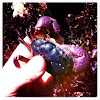Purple Rock Crab