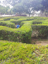 Green Maze of Gani Yehosua