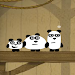 Panda Adventure Icon