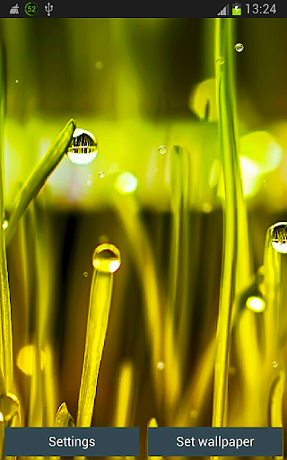 Rain n Grass Wallpaper App