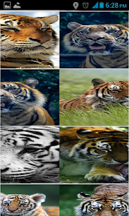 How to mod Tigers HD Wallpapers 1.0 mod apk for pc