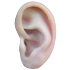 AcuMap EAR2.01