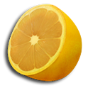 Fruit Park logo
