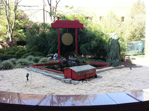 Chase Oriental Pond and Gong 