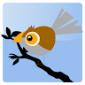 AdHawk Application icon