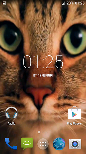 Wonderful Cat Live Wallpaper