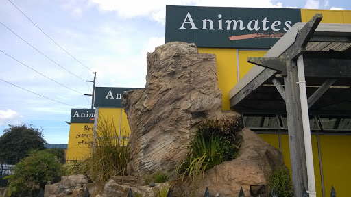Animate's Rock