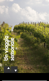 Marsciano - Umbria Musei poster 6