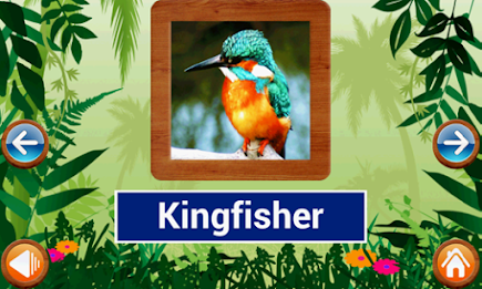 Animals and Birds by Intellisense poster 17