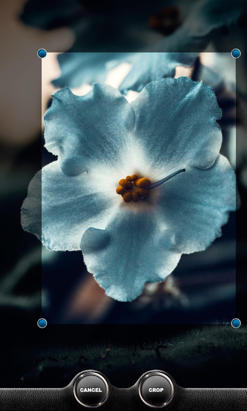 Slider Camera PRO Screen 3