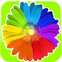 iMagic Pro – image studio logo